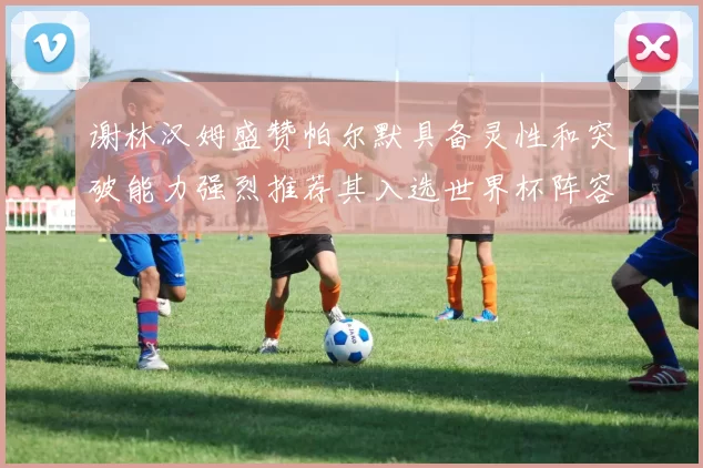 谢林汉姆盛赞帕尔默具备灵性和突破能力强烈推荐其入选世界杯阵容