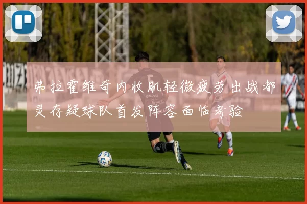 弗拉霍维奇内收肌轻微疲劳出战都灵存疑球队首发阵容面临考验